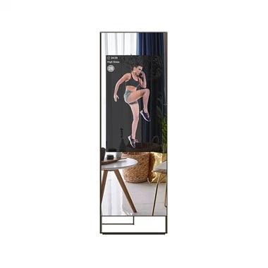 Home Gym Training Fitness Mirror